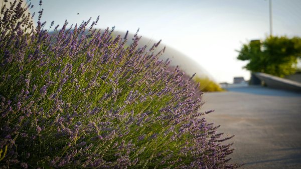 Essential Tips for Selecting the Perfect Lighting for a Windowless UK Hallway